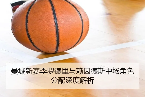 曼城新赛季罗德里与赖因德斯中场角色分配深度解析