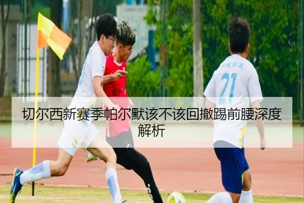 切尔西新赛季帕尔默该不该回撤踢前腰深度解析